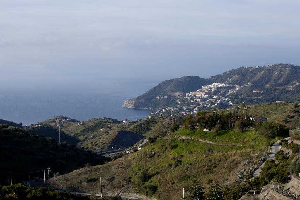 Finca La Herradura Стая снимка